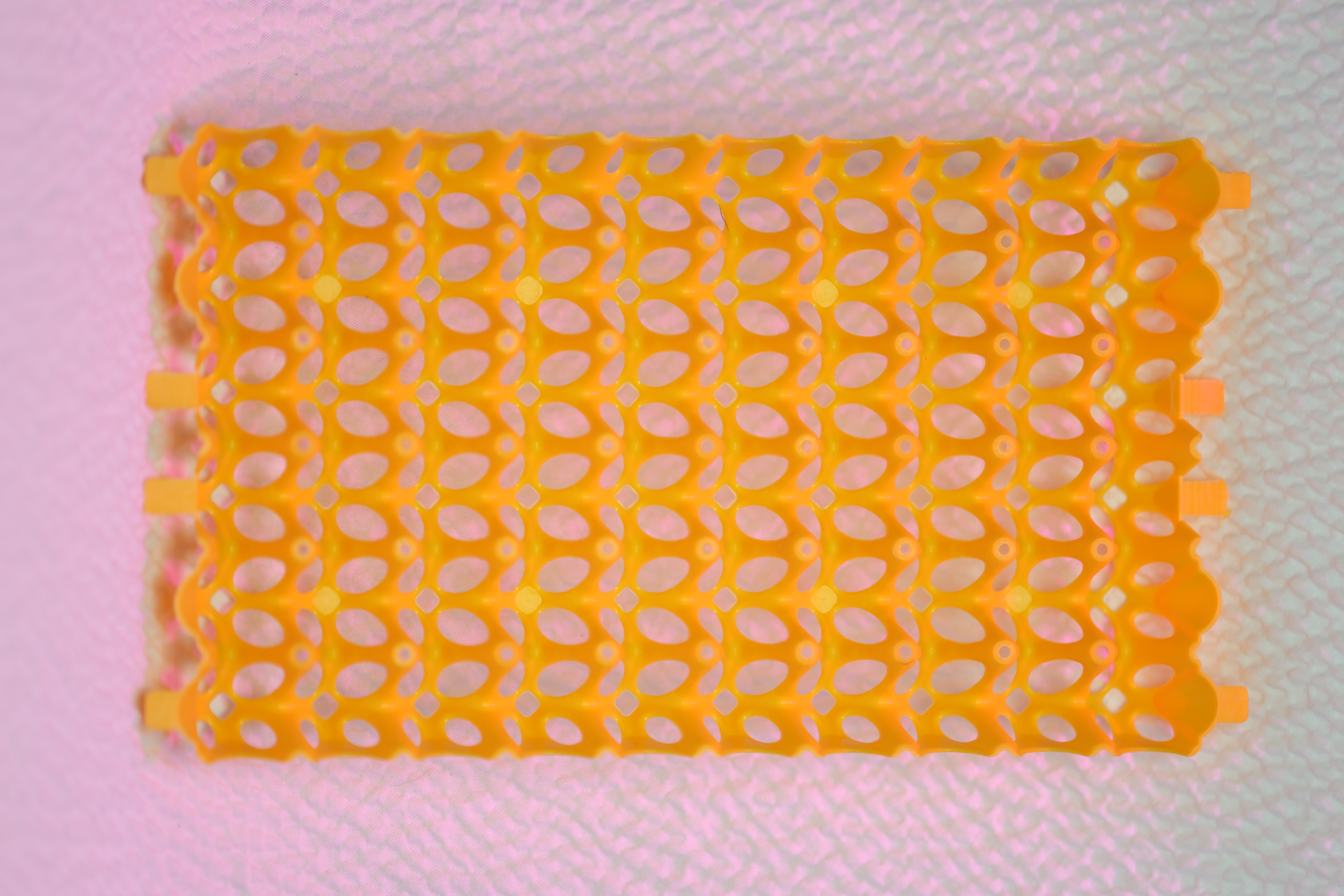 Plateau caille 60 œufs